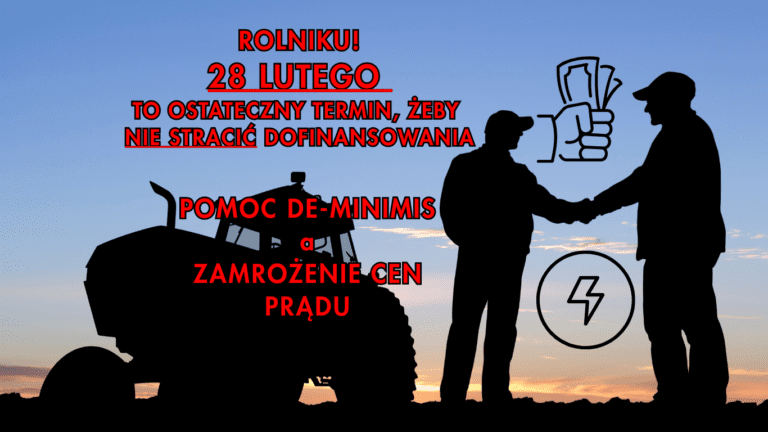 Do kiedy złożyć oświadczenie do energetyki o zamrożeniu cen prądu 2025? Rolnicy, przedsiębiorcy